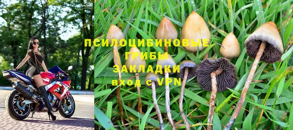 метадон Алексин
