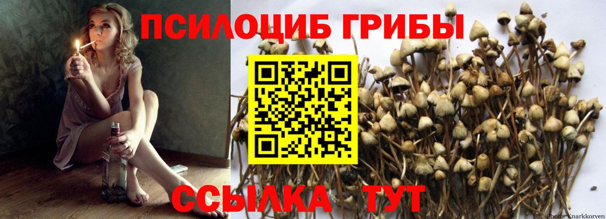 Белорецк  Псилоцибиновые грибы прущие грибы  Вход с VPN 